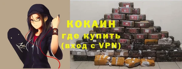 гашик Алзамай