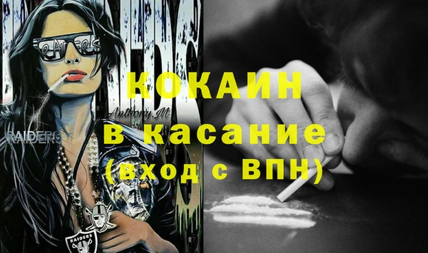 гашик Алзамай