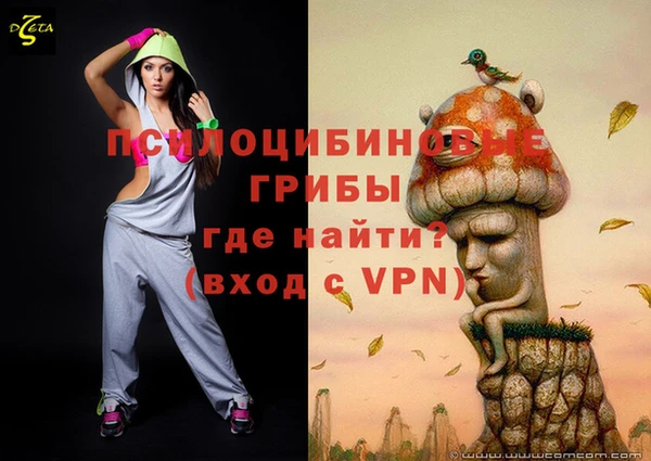 гашик Алзамай