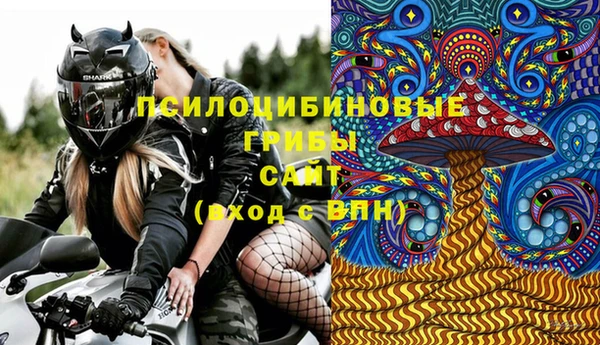 гидропоника Абаза