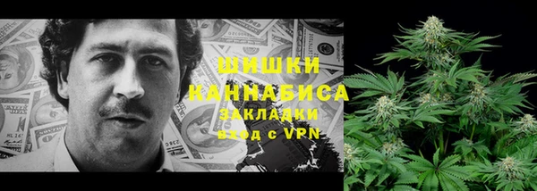 гашик Алзамай